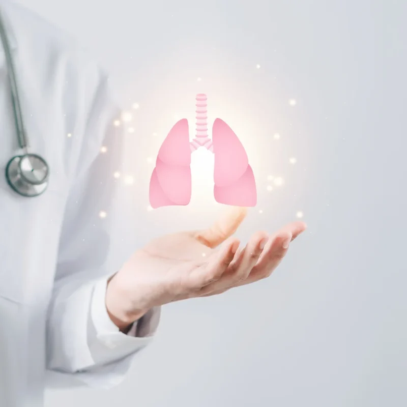 shutterstock_2232812515