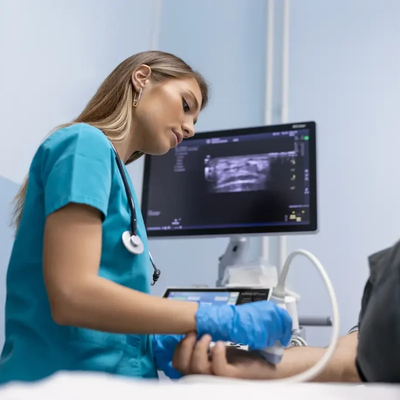 shutterstock_2290937675