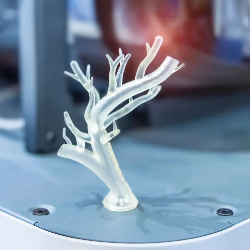 shutterstock_2358678831